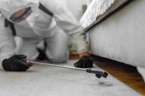 Professional Bed Bug Control technician working in Williams, OR